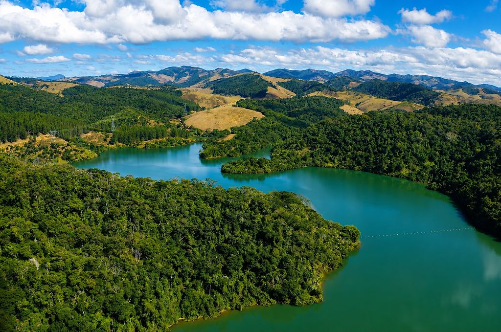 Vista aérea de plantio de restauração às margens de curso d'água, com equipe em campo